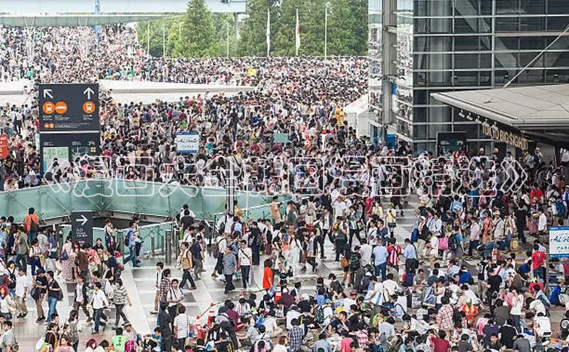 樱花漫画官方版正版入口网页