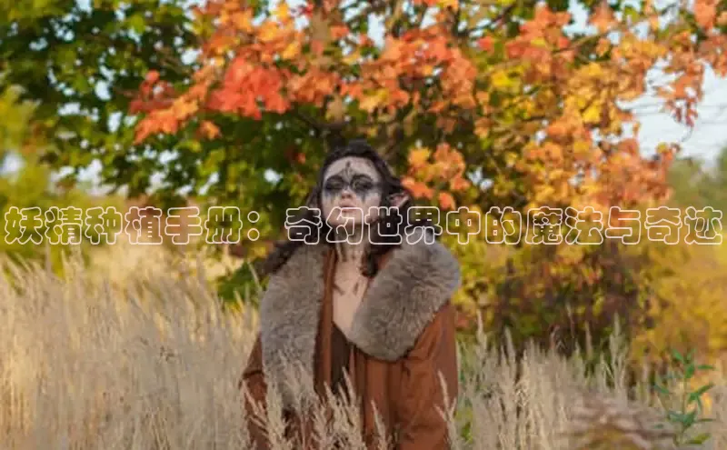 樱花漫画官方版正版入口网页